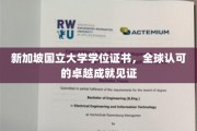 新加坡国立大学荣耀证书，国际通行证的卓越里程碑