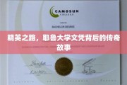 耶鲁精英养成记，探寻名校文凭背后的非凡历程