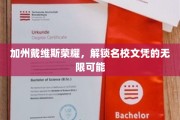 戴维斯荣耀之路，解锁名校文凭的璀璨人生