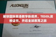 跨越语言界限，TESOL证书助你航向全球教育新天地