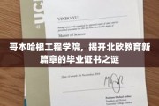 哥本哈根工程学院，探索北欧教育精英证书背后的奥秘