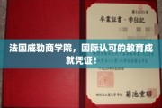 解锁全球视野，威勒商学院——国际教育认证的璀璨明珠