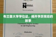 布兰登大学学位证，探寻学历背后的传奇与真相