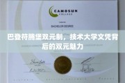 解锁德国巴登符腾堡双元制，技术大学文凭背后的独特教育魅力