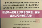新加坡理工学院文凭全球通行证，揭秘热门学历的无限价值！