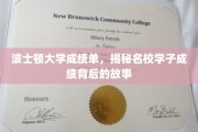 波士顿大学学子成绩面纱下，名校背后的真实学途纪实