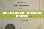都柏林城市大学文凭，开启全球视野的教育通行证