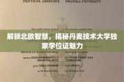 探秘丹麦技术大学，北欧教育精髓下的学位证非凡魅力