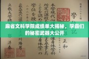 麻省学霸养成记，揭秘文科学院成绩单背后的神秘力量