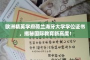 荷兰海牙大学学位证书闪耀全球，引领国际教育新潮流！