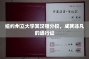 解锁非凡未来的纽约州立大学宾汉顿分校通行证