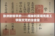 解码利莫瑞克理工学院，欧洲新贵教育机构的实力认证