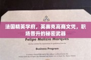 驾驭精英之路，英赛克高商文凭，解锁职场飞速晋升的密钥