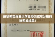 揭开弗吉尼亚大学夏洛茨维尔分校不为人知的学术成就面纱