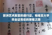 解锁艺术巅峰，帕维亚大学文凭背后的辉煌轨迹