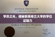 新英格兰大学学位证，探寻学术殿堂的荣耀凭证