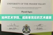 探索加州艺术学院，揭开艺术天才背后的华丽成绩单面纱