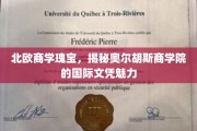 探寻北欧教育精髓，奥尔胡斯商学院国际文凭的非凡魅力
