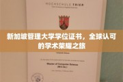 跨国荣耀之路，新加坡管理大学学位，开启全球认可的教育新篇章