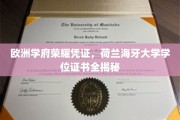 荷兰海牙大学，揭秘欧洲名校的荣耀学位证书之谜