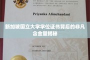 新加坡国立大学学位证书，揭秘其背后的卓越价值与全球认可度