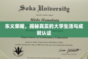 青春足迹，探索东义荣耀背后的真实校园传奇与成就故事