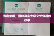 文凭背后的传奇，揭秘高校荣耀背后的真实历程