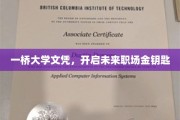 一桥大学文凭，解锁职场新境界，成就未来辉煌人生