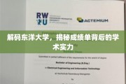 东洋大学成绩单揭秘，探寻学术实力的真实面貌