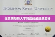 揭开明斯特大学卓越成就的神秘面纱
