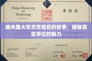 学历背后的传奇，埃夫里大学文凭的神秘魅力探寻