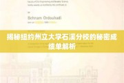 石溪分校背后的学术密码，独家成绩单深度揭秘