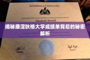 解码康涅狄格大学成绩单，揭秘学术成就的神秘面纱