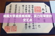 成蹊大学成绩单揭秘，实力与荣誉的交汇点