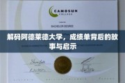 揭开阿德莱德大学成绩单的深层奥秘，探索背后的故事与成长启示
