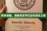 林肯荣耀，揭秘学位证背后的传奇制作之旅