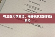 布兰登大学文凭，现代教育界的新标杆与变革力量