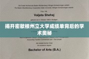 揭秘密歇根州立大学成绩单，探寻学术成就的秘密之门