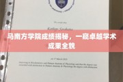 马南方学院学术巅峰探秘，揭秘卓越成果背后的精彩故事