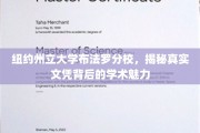 探寻纽约州立大学布法罗分校，文凭背后的学术风采与独特魅力