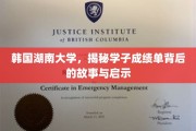 揭秘韩湘风云，湖南大学学子成绩单中的传奇与启示