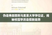 校园学历造假新风向，伪造弗朗西斯马里恩大学学位证，揭秘学历证书滥用乱象