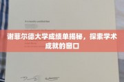 谢菲尔德大学成绩单揭秘，探索学术成就的窗口