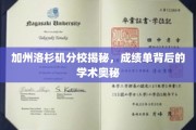 解码加州洛杉矶分校，成绩单里的学术世界探秘