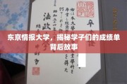 东京情报大学风云录，揭秘学霸们的成绩单背后传奇