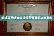 揭开里贾纳大学成绩单的秘密，探索学术成就的深层密码