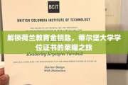 踏上荷兰教育巅峰，蒂尔堡大学学位，开启荣耀成就之旅