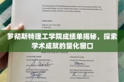 解码罗切斯特理工学院成绩单，揭秘学术成就的量化密码