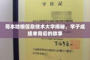 解码哥本哈根信息技术大学，学子成绩单背后的真实面貌