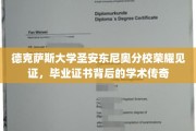 德克萨斯大学圣安东尼奥分校，毕业证书背后的荣耀之旅